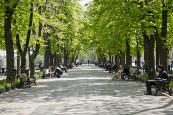 Утро на Приморском бульваре