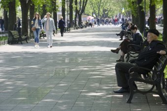 Утро на Приморском бульваре
