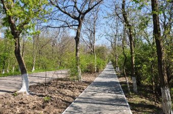 Одесские власти отчитываются о работах по благоустройству Трассы здоровья (фото)