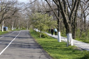 Одесские власти отчитываются о работах по благоустройству Трассы здоровья (фото)