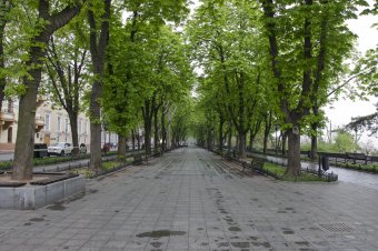 Туманное утро