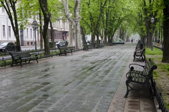 Туманное утро