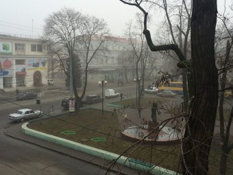 В Одессе началась борьба с… пнями (фото)