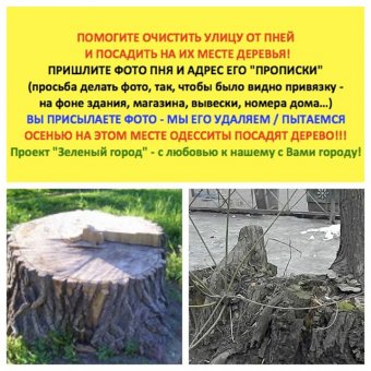 В Одессе началась борьба с… пнями (фото)
