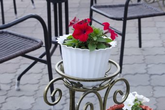 Весна в Одессе