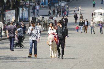 Весна в Одессе
