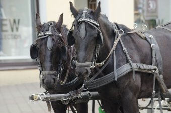 Весна в Одессе