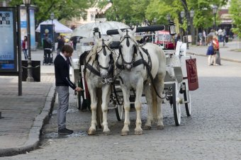 Весна в Одессе