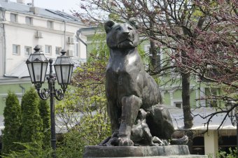 Весна в Одессе