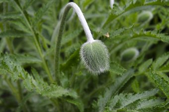 Яркие краски весны