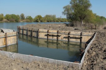 Дельта Днестра: В разгар весеннего половодья без воды