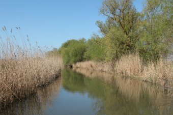 Дельта Днестра: В разгар весеннего половодья без воды
