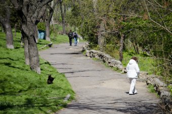 В Стамбульском парке появится детский городок