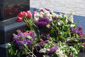 В Одессе возле памятного знака Маршалу Жукову появится одноименный сквер (фото)