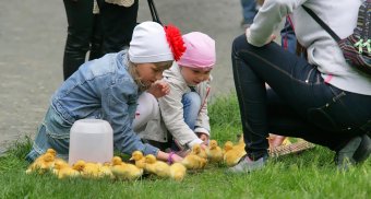 В выходной у фонтана