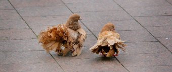 В выходной у фонтана