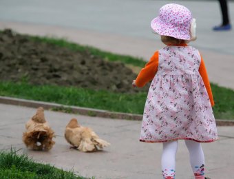 В выходной у фонтана