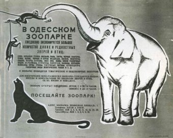 В Одесском зоопарке прошла уникальная фотовыставка «Животные Второй мировой войны»