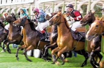 Сегодня на Одесском ипподроме открывается скаковой сезон 2015 года