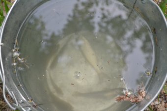 Всего лишь несколько километров от Одессы