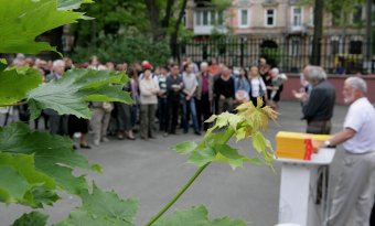Две выставки в одном музее (фото)