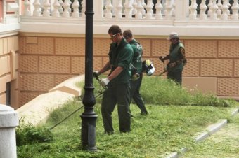 Скверы и парки Одессы украшают летними цветами (фото)
