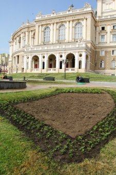 Скверы и парки Одессы украшают летними цветами (фото)