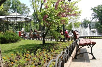 Скверы и парки Одессы украшают летними цветами (фото)