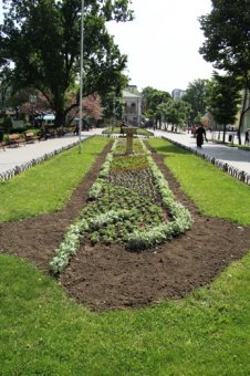 Скверы и парки Одессы украшают летними цветами (фото)