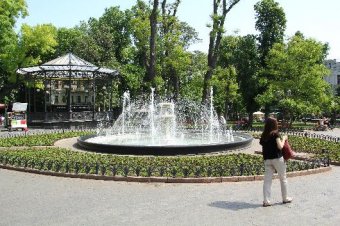 Скверы и парки Одессы украшают летними цветами (фото)