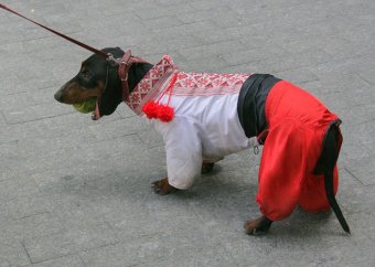 Марш вышиванок