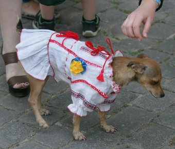 Марш вышиванок