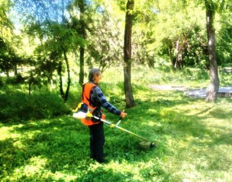В парках Одессы регулярно ведутся работы по благоустройству (фото)