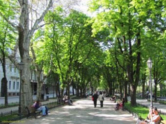 Как благоустроить парки в районе Приморского бульвара? Власти Одессы ждут предложений горожан!