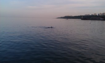 Вечер на Ланжероне