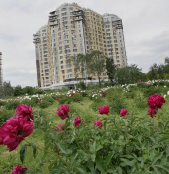 Сегодня в Одесском ботаническом саду властвует король цветов – пион!