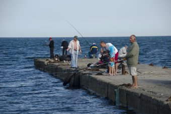 Прогулка у моря