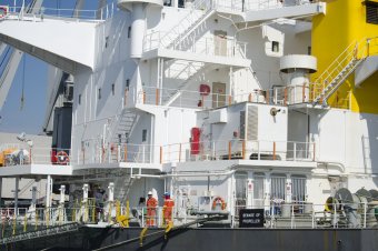 В акватории Одесского порта