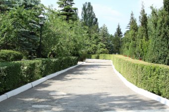 Маленьких одесситов ждут в Сергеевке (фото)