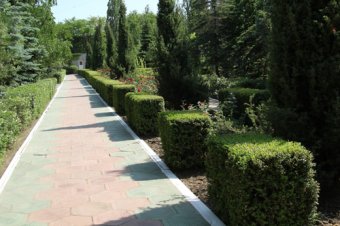 Маленьких одесситов ждут в Сергеевке (фото)