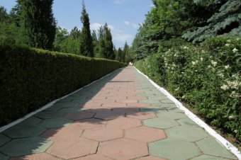 Маленьких одесситов ждут в Сергеевке (фото)