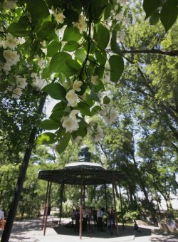В Лунном парке сегодня «Игра снов» (фото)