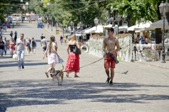 На Дерибасовской
