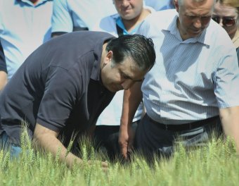 Первая рабочая поездка нового губернатора