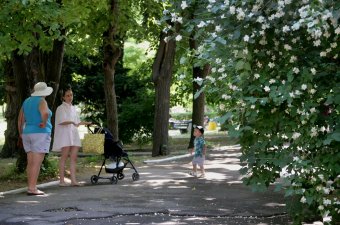 С новым парком, одесситы! (фото)