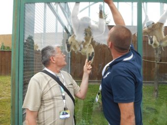 Одесский зоопарк отправился за опытом в Словакию (фото)