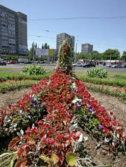 Одесские коммунальщики восстановили топиарную фигуру «Птица» на площади Толбухина (фото)