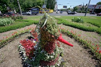 Одесские коммунальщики восстановили топиарную фигуру «Птица» на площади Толбухина (фото)