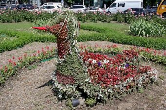 Одесские коммунальщики восстановили топиарную фигуру «Птица» на площади Толбухина (фото)