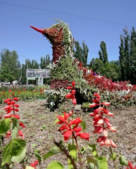 Одесские коммунальщики восстановили топиарную фигуру «Птица» на площади Толбухина (фото)